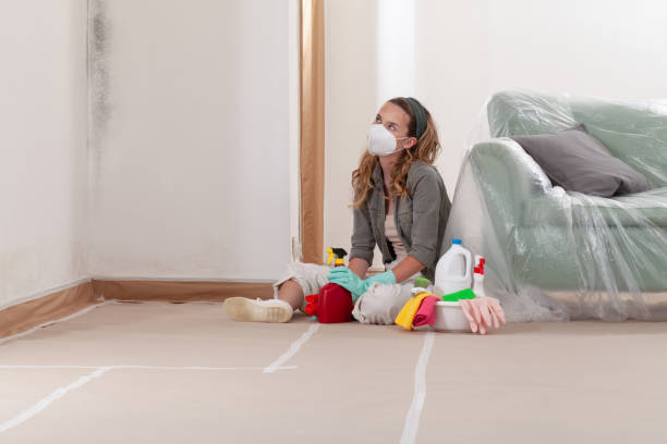 Reliable Mold Remediation contractor in Woodsboro, MD by WQB Mold Removal